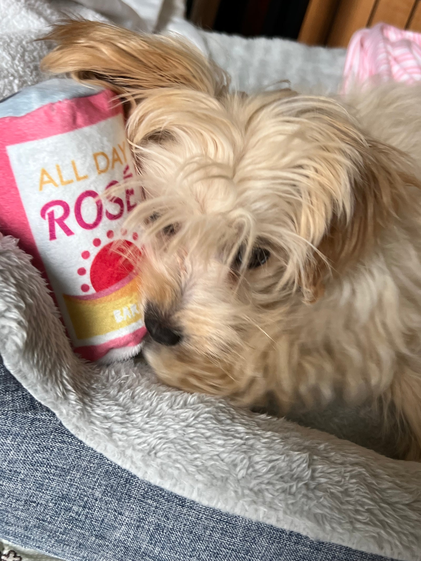 BARK Picnic in the Bark Licknic Pack Dog Plush Toy 4 Pieces