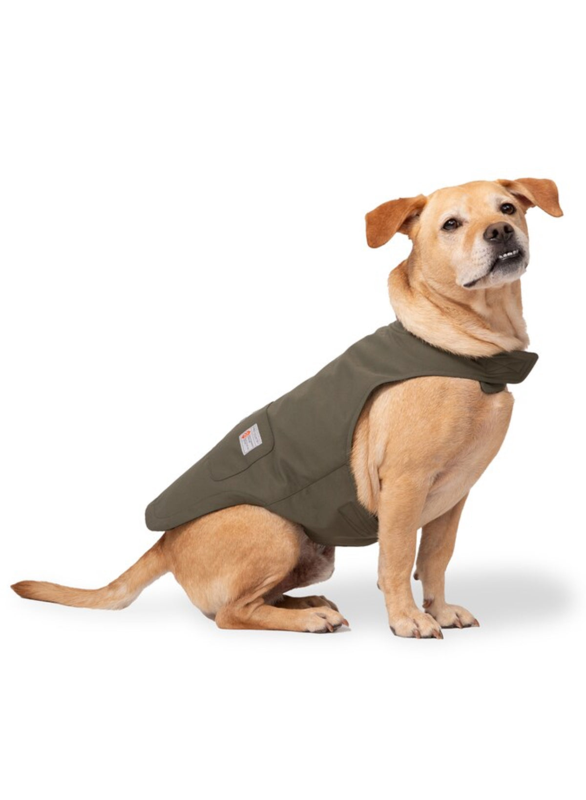 Brawny Canvas Reversible Dog Work Jacket by Free Country