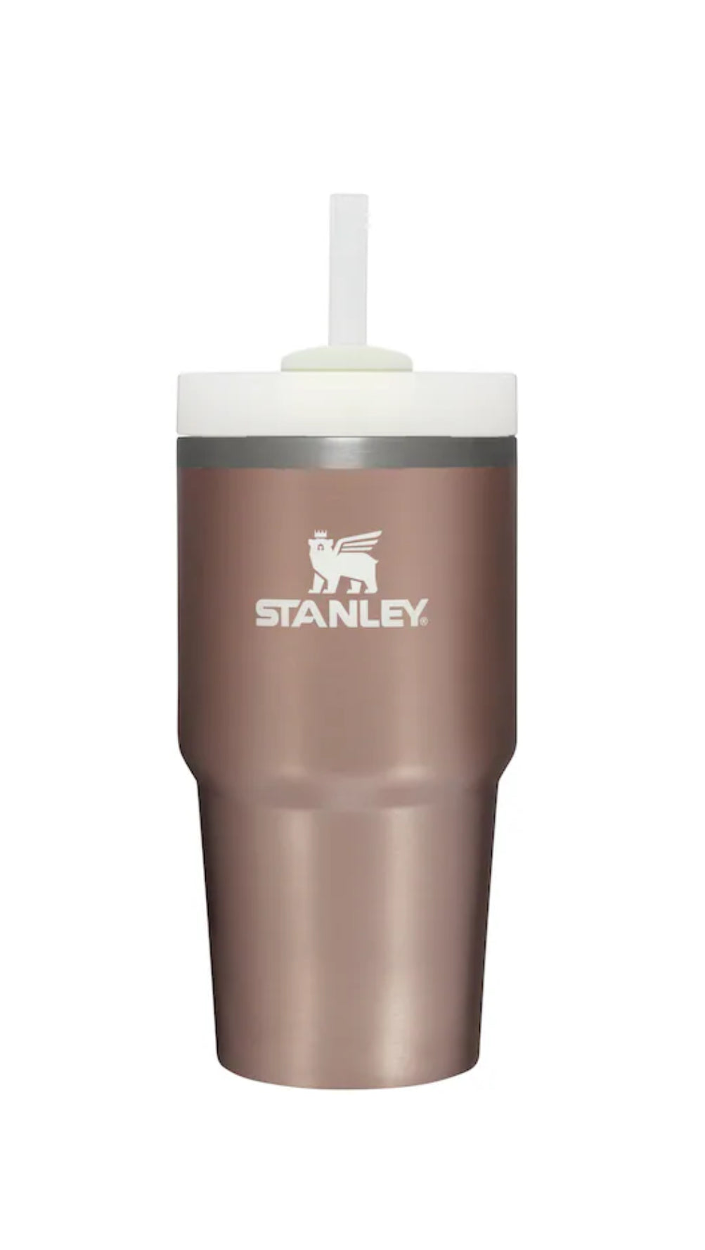 Stanley Quencher H2.0  FlowState™  Stainless Steel Tumbler with Lid & Straw, 20 oz