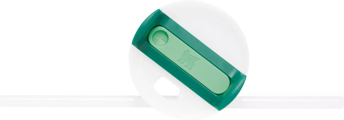 Stanley Quencher H2.0  FlowState™  Stainless Steel Tumbler with Lid & Straw, 20 oz