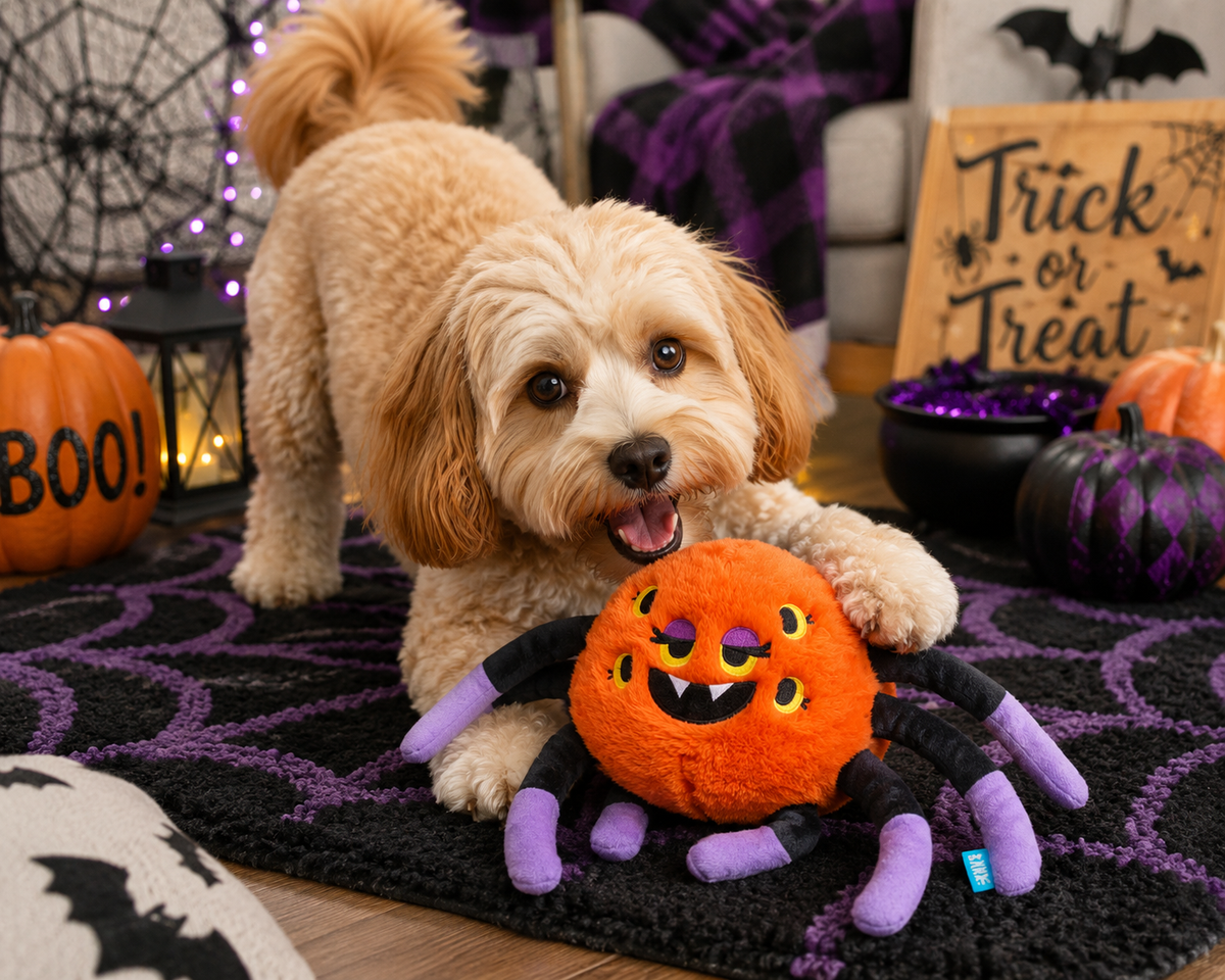 BARK Dark Web Designer Halloween Spider Dog Toy